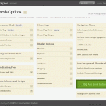 Thesis Options